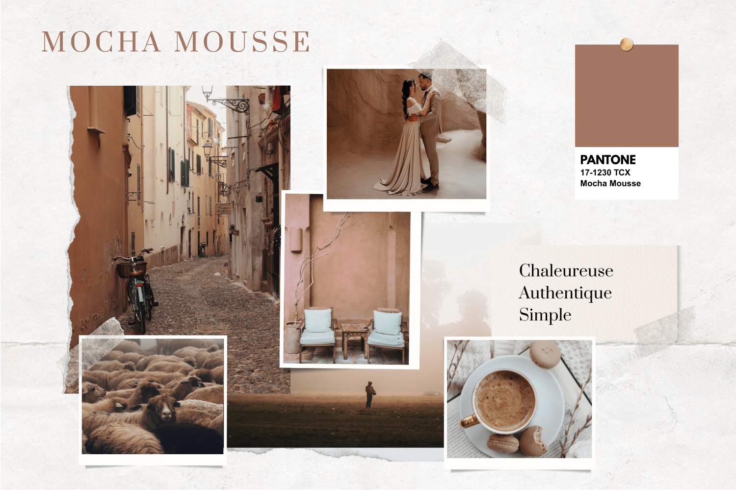 Mocha Mousse - Une élégance intemporelle - Petite and So What